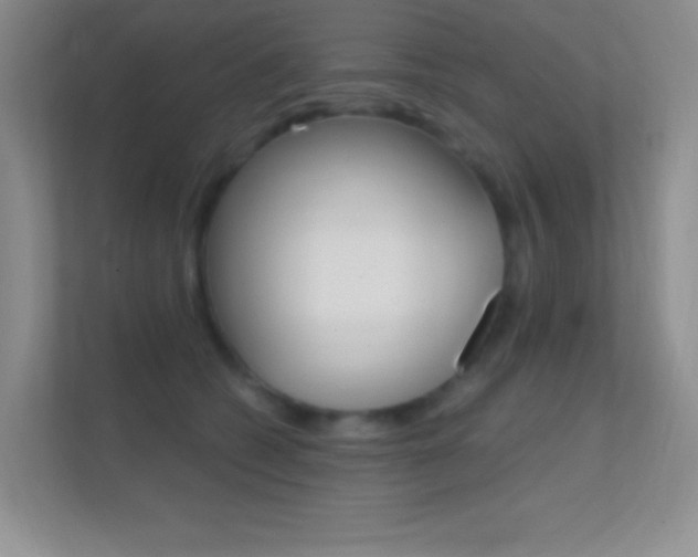 X0000112420562200908141048