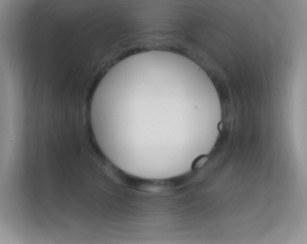 X0000112420563200908141048