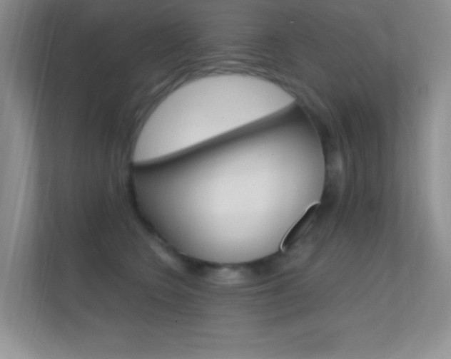X0000112420566200908141048