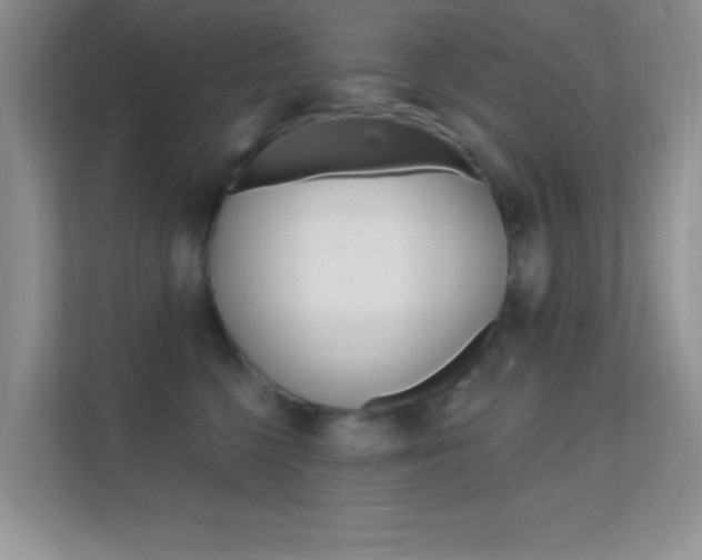 X0000112420568200908141048