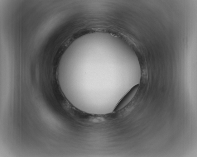 X0000112420572200908141048