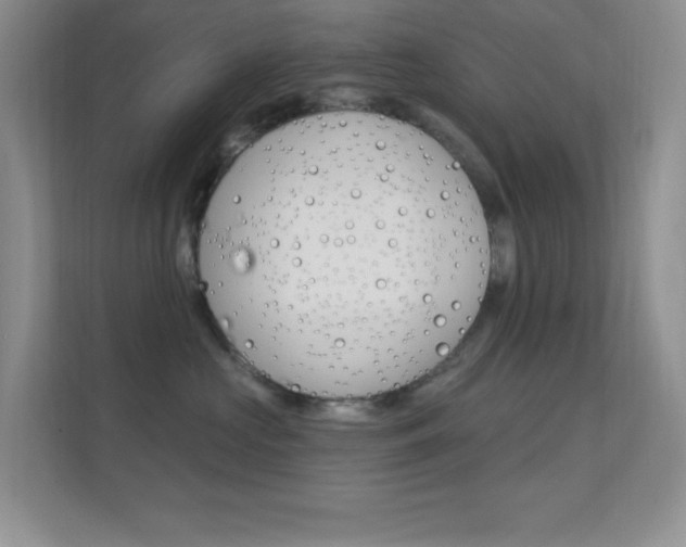 X0000112420573200908141048