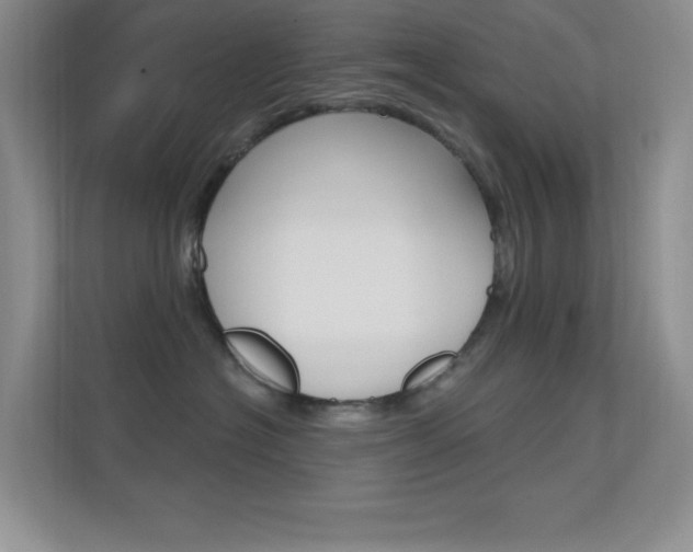X0000112420574200908141048