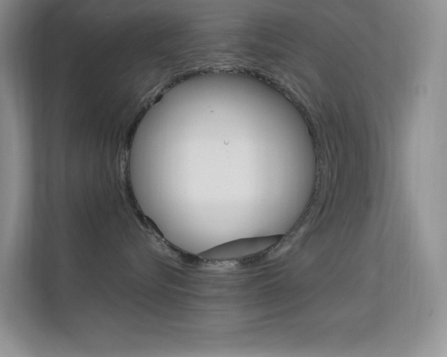 X0000112420576200908141048