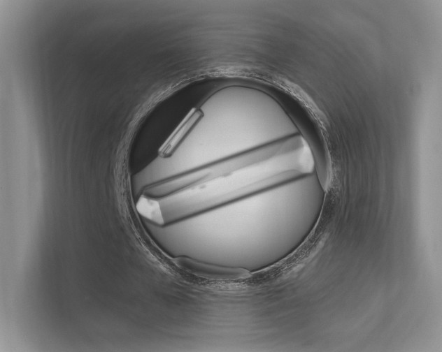 X0000112420577200908141047