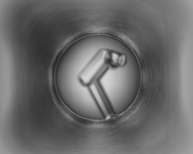 X0000112420581200908141047