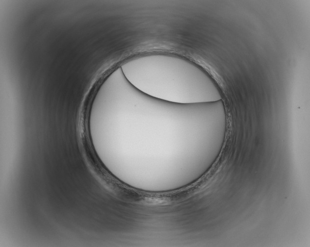 X0000112420582200908141047