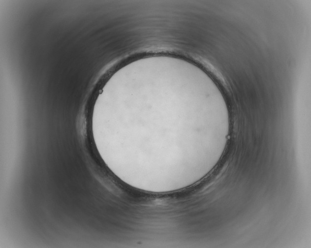 X0000112420584200908141047