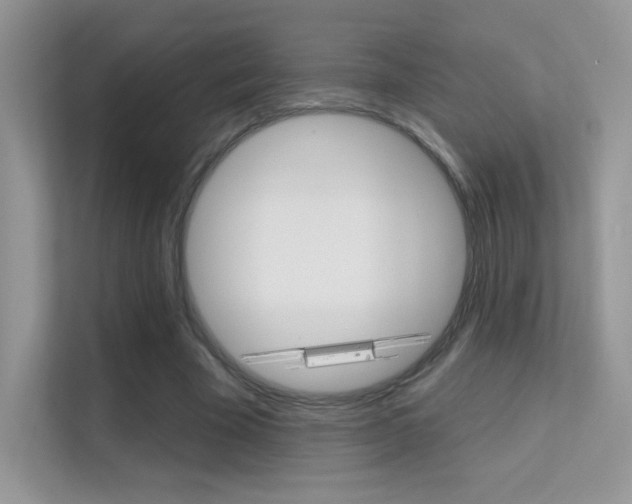 X0000112420585200908141047