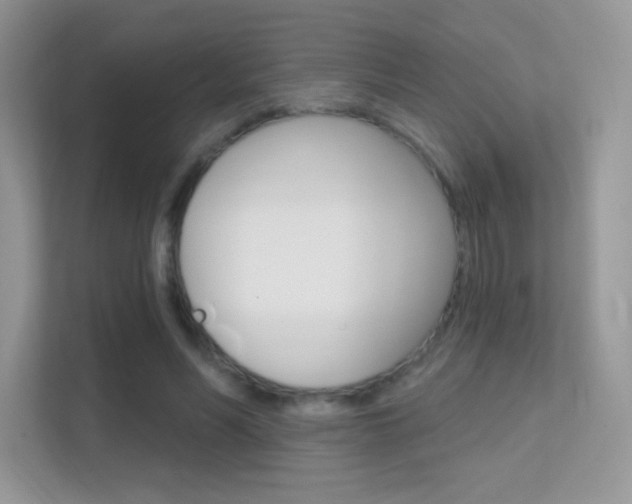 X0000112420590200908141047