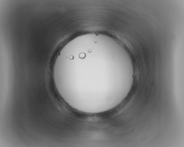 X0000112420591200908141047