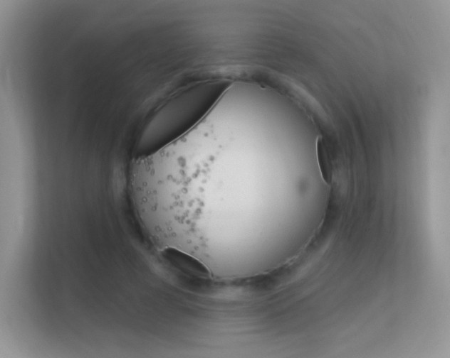 X0000112420593200908141047