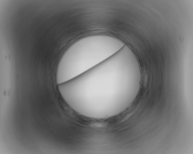 X0000112420595200908141047