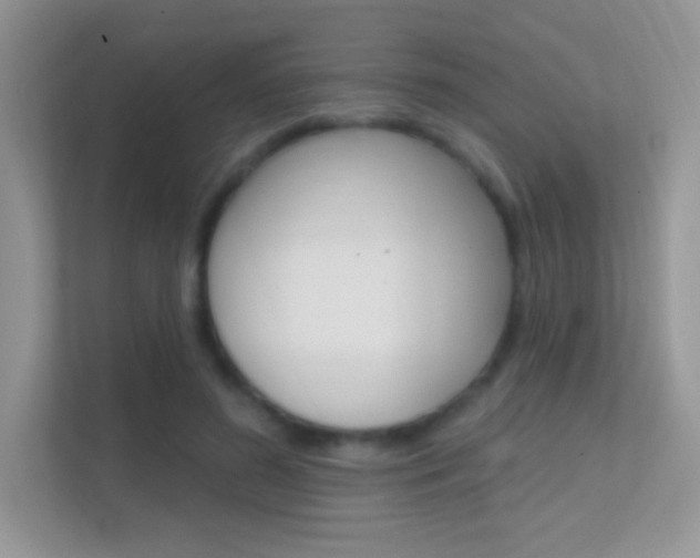 X0000112420596200908141047