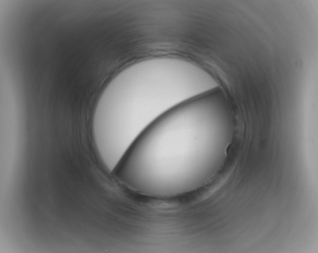 X0000112420597200908141047