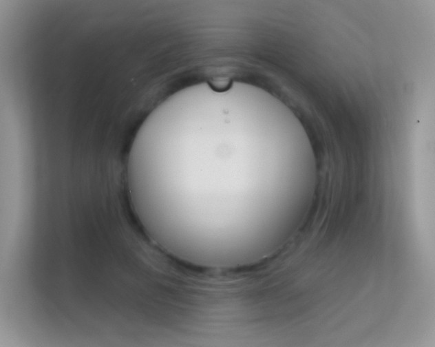X0000112420601200908141047