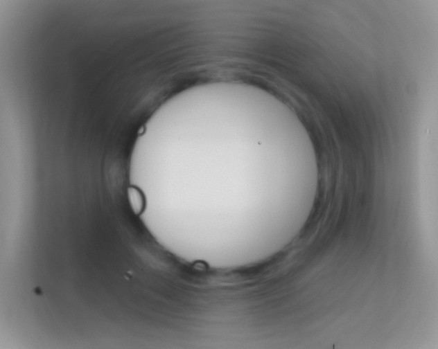 X0000112420603200908141047