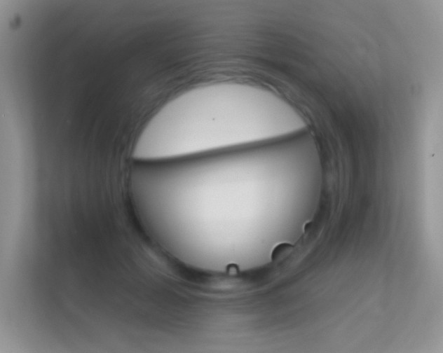 X0000112420605200908141047
