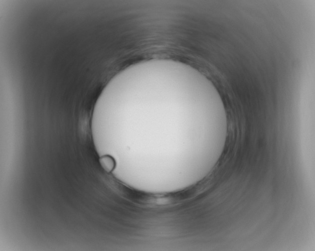 X0000112420610200908141047