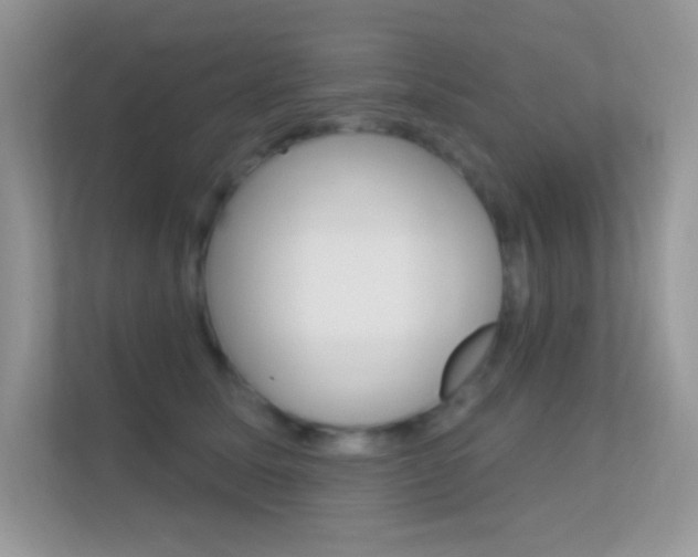 X0000112420611200908141047