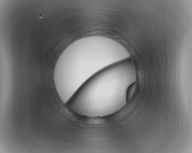 X0000112420617200908141047