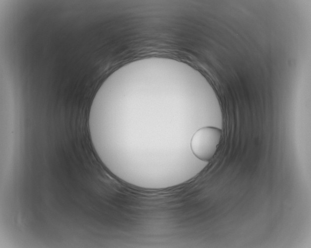 X0000112420621200908141047