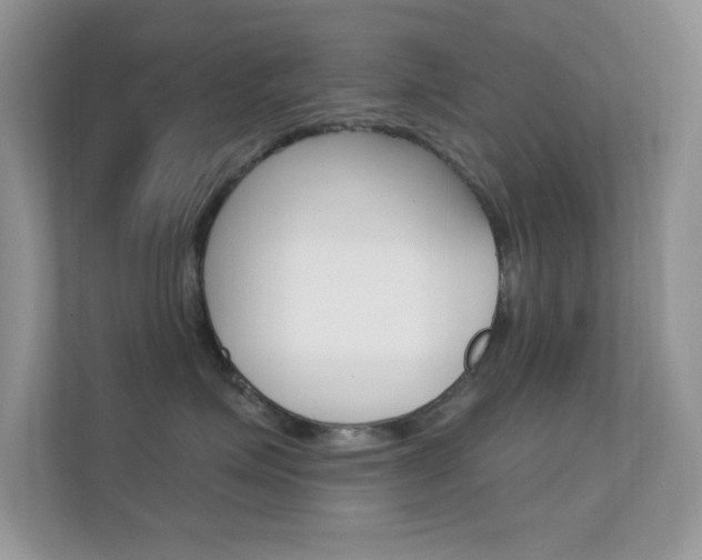 X0000112420623200908141047