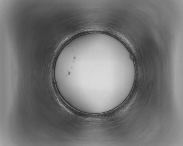 X0000112420625200908141046