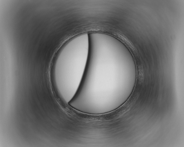 X0000112420626200908141046