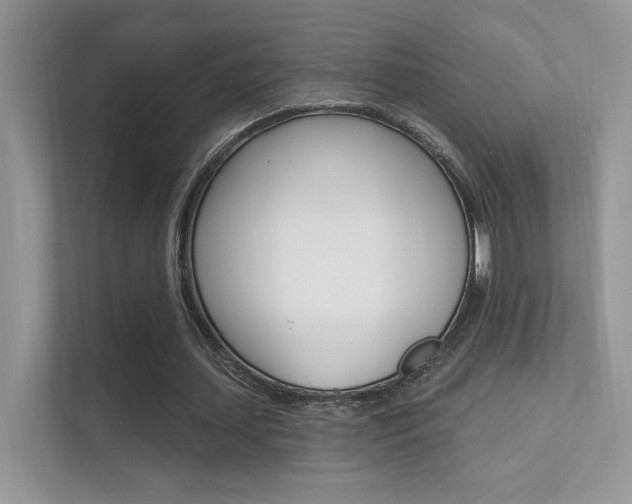 X0000112420627200908141046