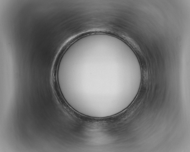X0000112420628200908141046