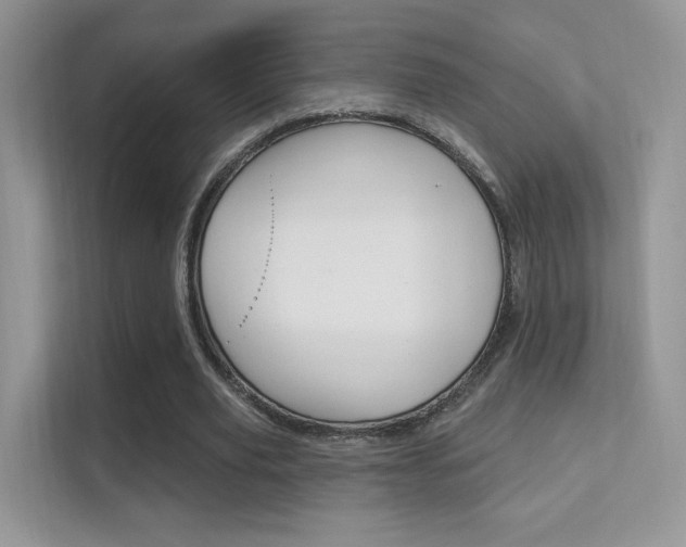X0000112420629200908141046