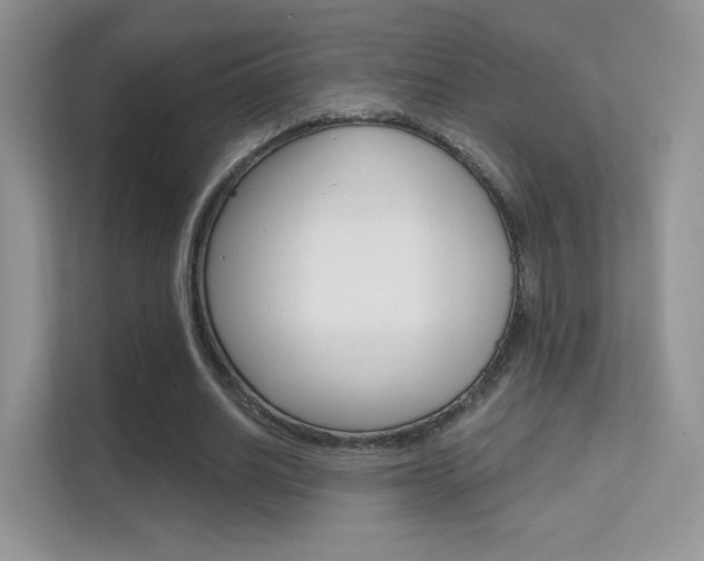 X0000112420630200908141046