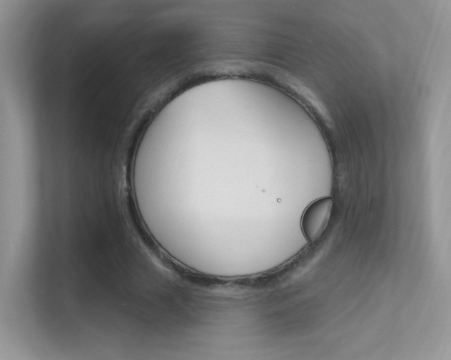 X0000112420633200908141046