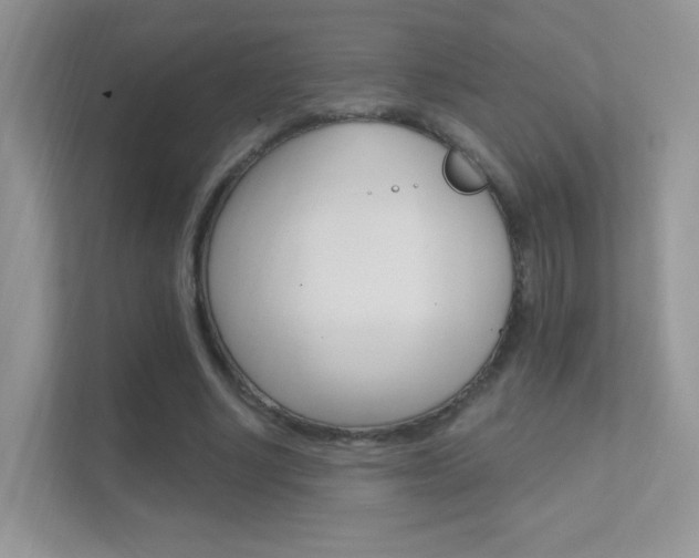 X0000112420634200908141046