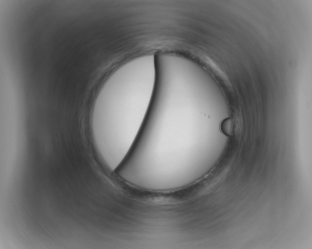 X0000112420637200908141046