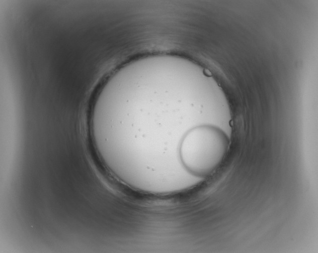 X0000112420638200908141046