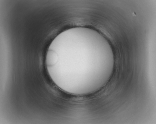 X0000112420639200908141046