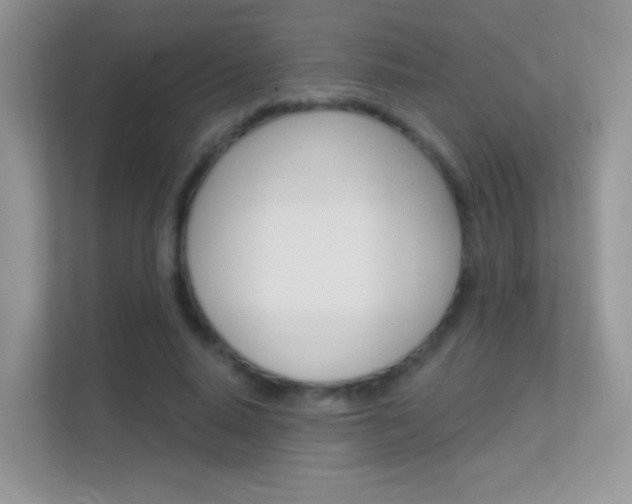 X0000112420640200908141046