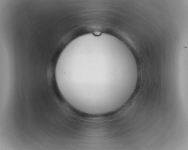 X0000112420645200908141046