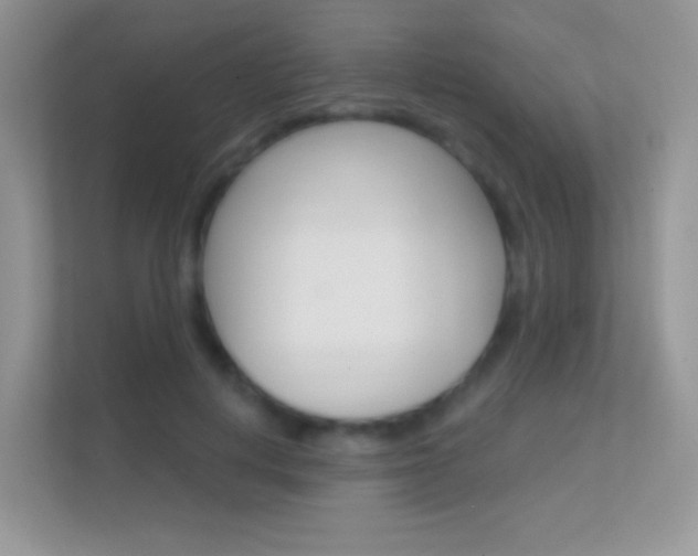 X0000112420648200908141046