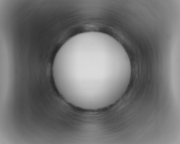X0000112420649200908141046