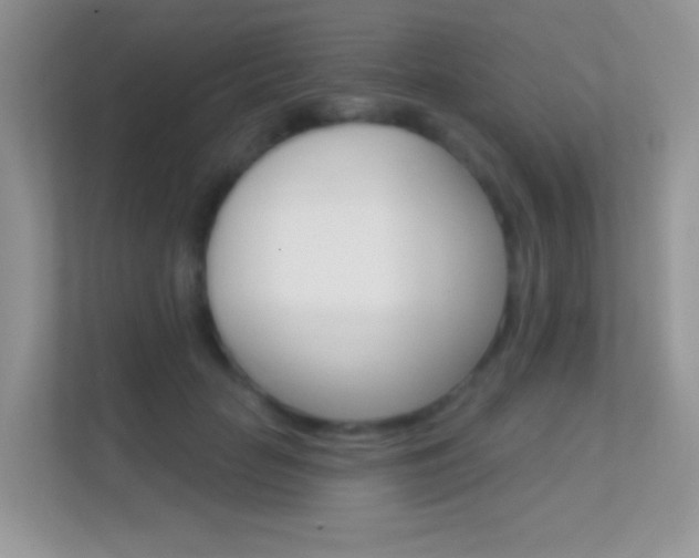 X0000112420653200908141046