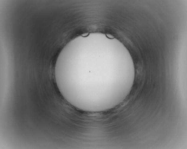 X0000112420659200908141046