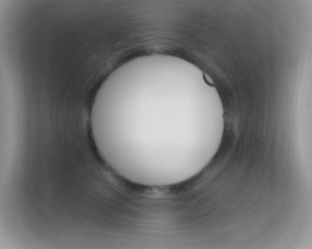 X0000112420660200908141046