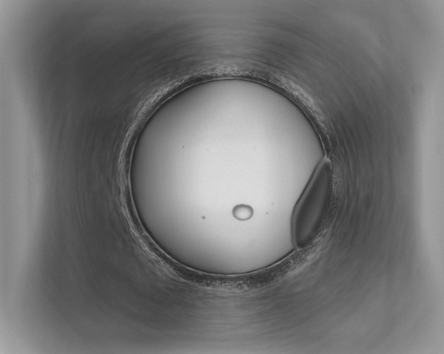 X0000112420673200908141046