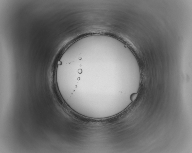 X0000112420679200908141046