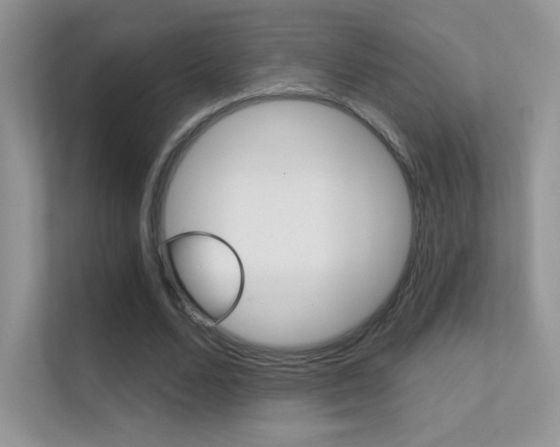 X0000112420680200908141046