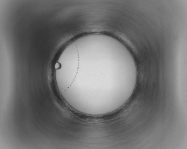X0000112420683200908141046