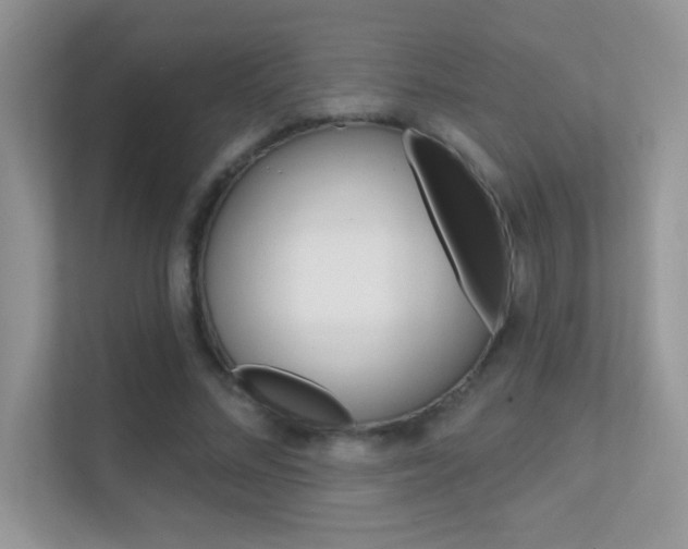 X0000112420684200908141046